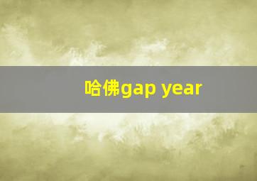 哈佛gap year